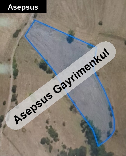 balıkesirde bağ evi imarlı beş buçuk dönüm cevizlik