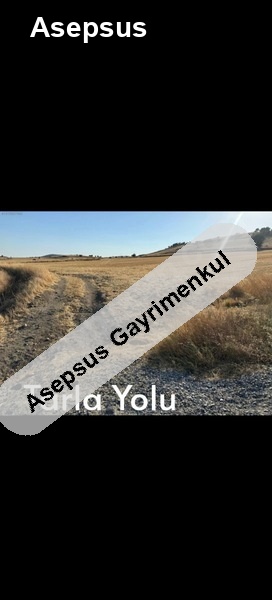 sahibinden yolun dibinde satlık tarla