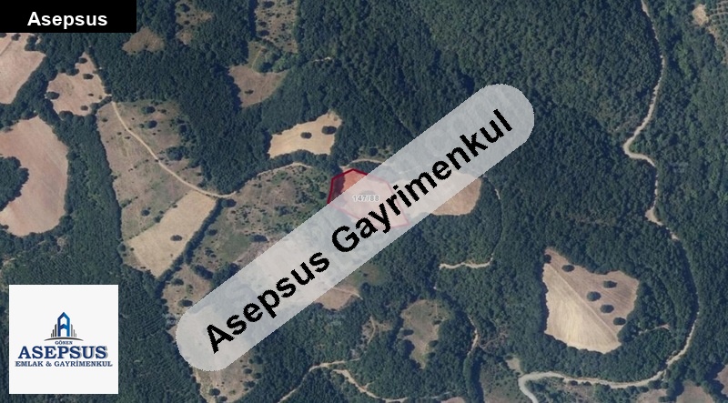 Asepsus Emlak'tan 3+1 sarıçayır köyü 'sinde satılık arsa