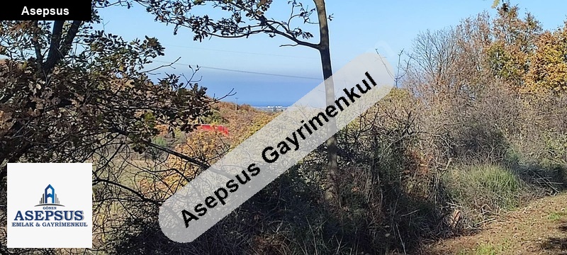 Asepsus Emlak'tan 3+1 sinekçi köyü 'sinde satılık arsa
