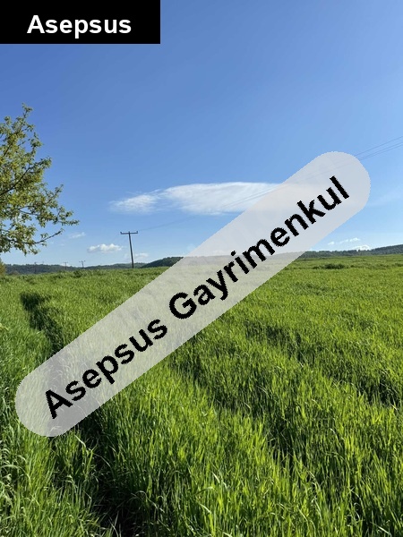 tek tapu tarla balikesi̇r gönen ulukir