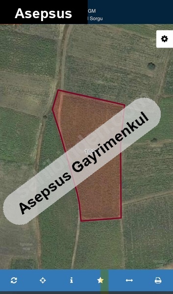 sahi̇bi̇nden satilik