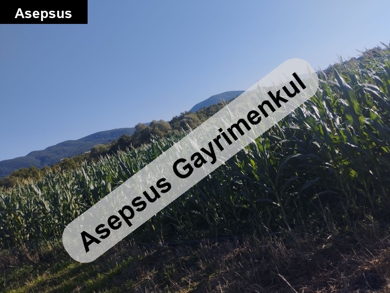 satilik tarla( sulu tarima uygun) 05345998719