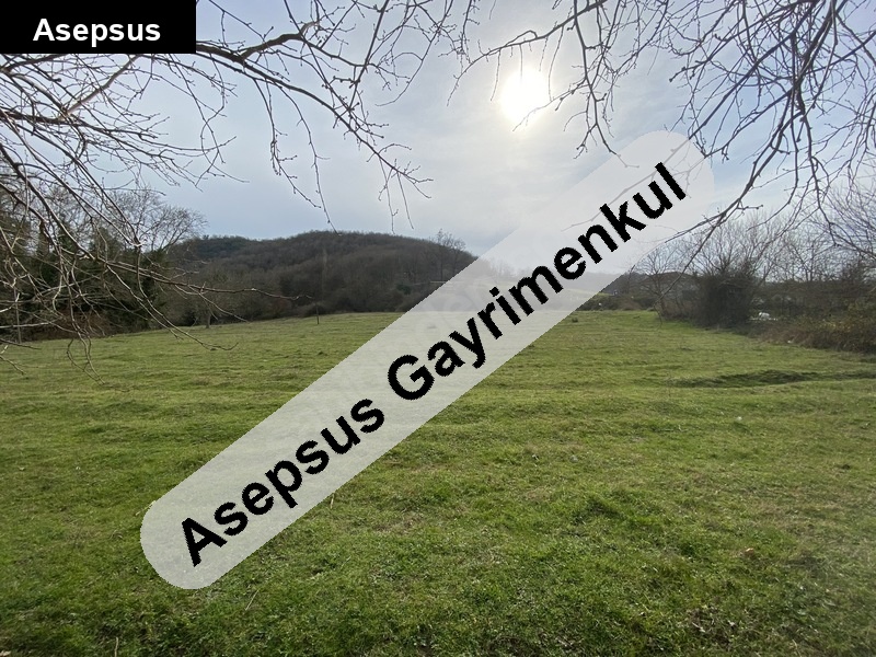 (sahi̇bi̇nden)manyas haciosman köy 5335 metrekare i̇marli düz arsa