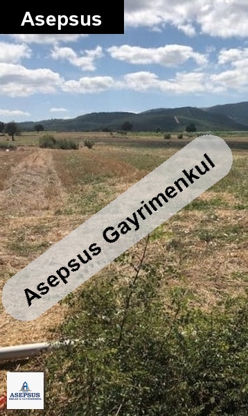 Asepsus Emlak'tan 3+1 hacıpehlivan köyü 'sinde satılık arsa