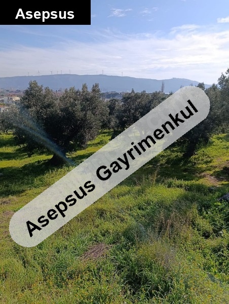 resmi villa/konut yapılabilir arsa