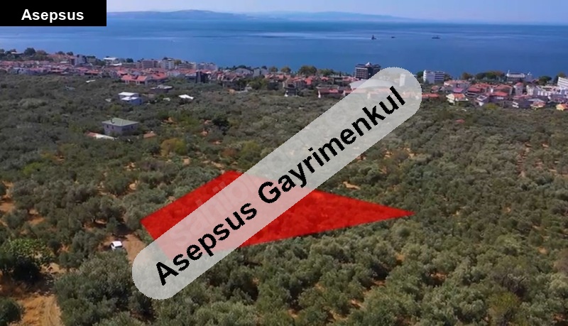 erdek te merkeze yakin deni̇z manzarali 1698 m2 satilik zeyti̇nli̇k