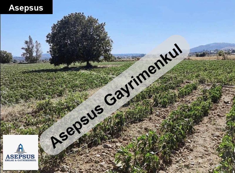 Asepsus Emlak'tan 3+1 gündoğdu köyü 'sinde satılık arsa