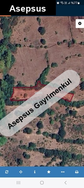 köye yakın, kadastro yolu var, yeşillikler içinde