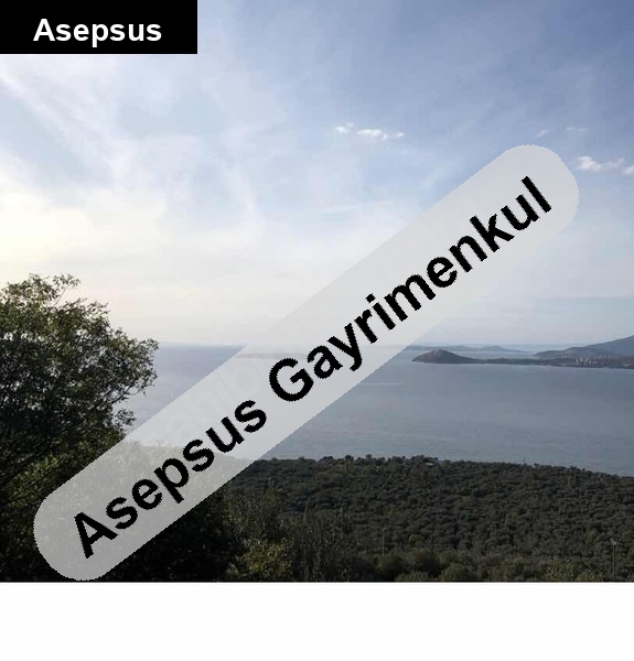 sahi̇bi̇nden satilik 3.440 m2