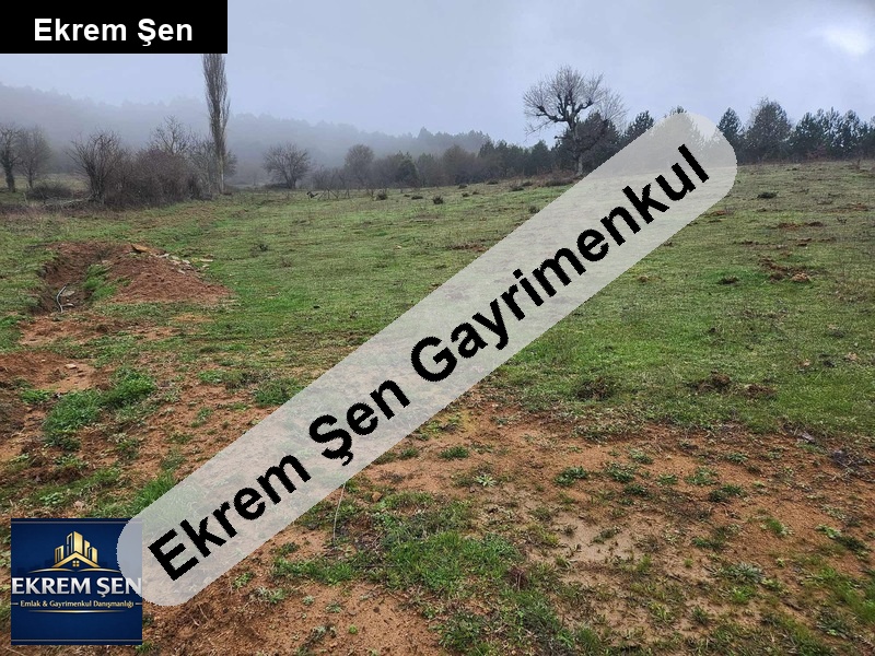 sahi̇bi̇nden çanakkale kazdağlarinda 2600 mkare tarla