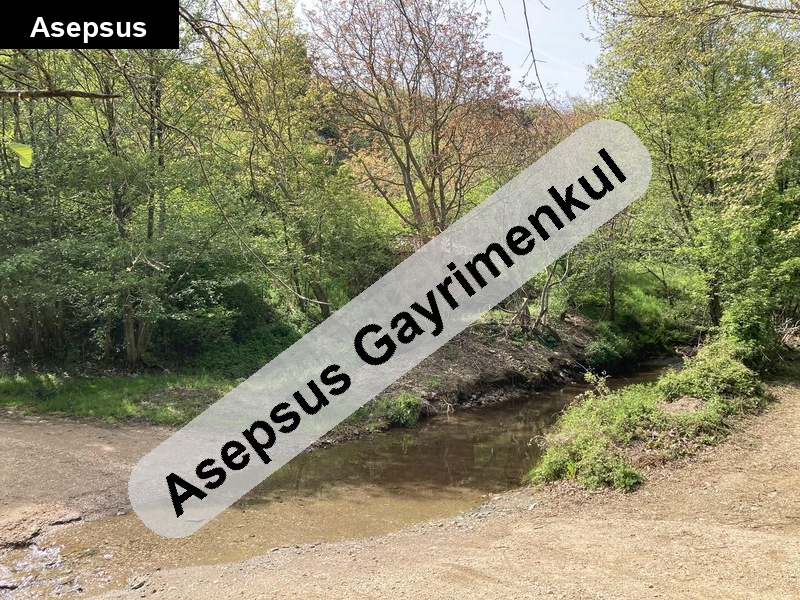 bandirma çakilköy'de mükemmel konum ve güzellikte