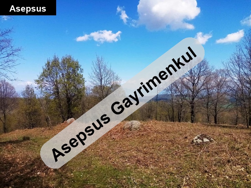 sahi̇bi̇nden köye yakin yol kenari 4066 m2