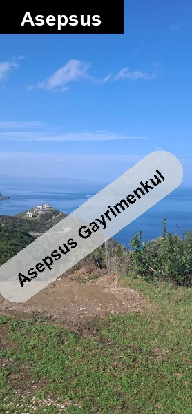 erdek ballıpınar mahallesi satılık zeytinlik