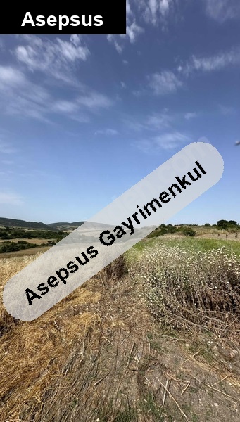 deni̇z' 2 km satilik tarla 2.759 m2