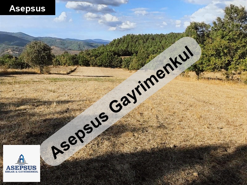 Asepsus Emlak'tan 3+1 çakır köyü 'sinde satılık arsa