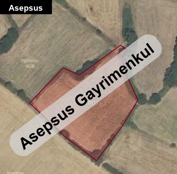 sahi̇bi̇nden balikesi̇r susurluk reşadi̇ye'de 4100m2 satilik tarla