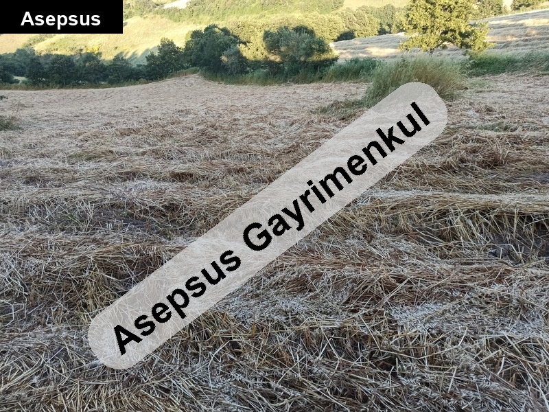 balikesi̇r gönen hari̇ka kelepi̇r 20 dönüm tarla çi̇ftli̇ğe uygun..