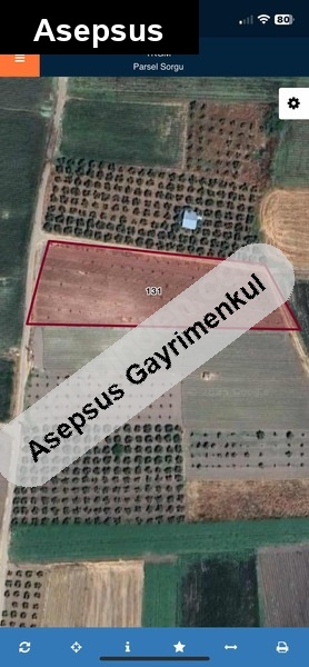 satilik cevi̇z bahçesi̇ (takas teklifleri değerlendilir)