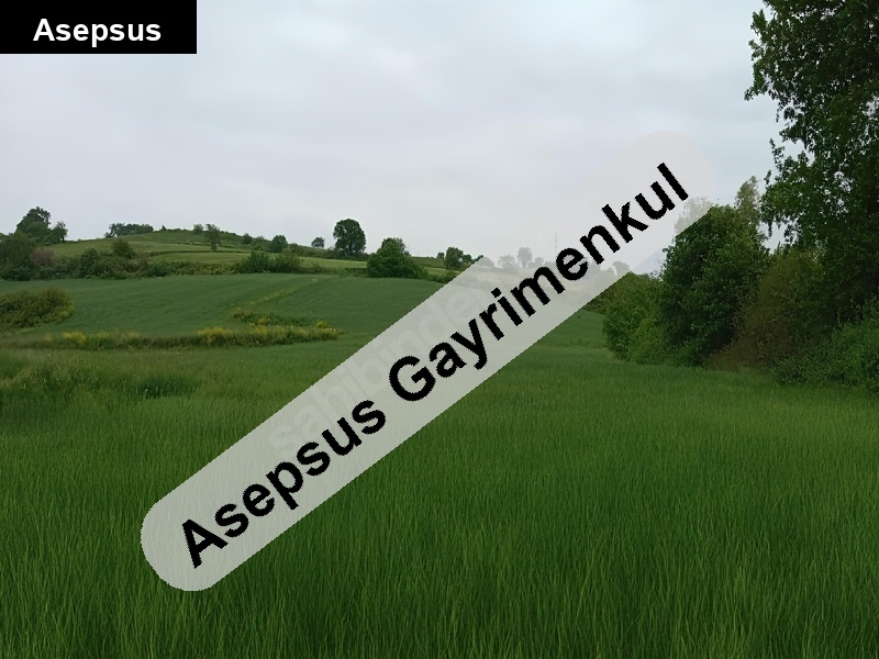 göbelde 3640 m² yol cepheli̇, eği̇msi̇z, yatirima uygun tarla