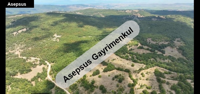 balikesi̇r gönen dumanalan'da 9.145 dönüm satilik tarla