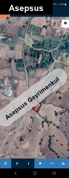 balya kayalarda fistik cami bulunan tarla