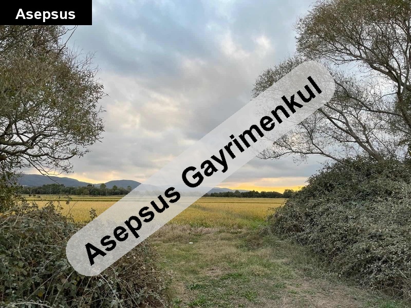 sahibinden satılık yol cepheli çeltik tarlası