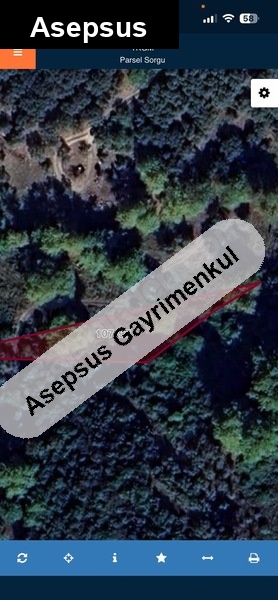 doğanların incisi kazandıracak olan tarla