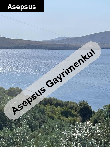 narlı beşevler'de full deniz manzaralı 2165 m2 satılık zeytinlik