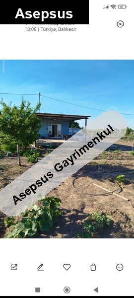 bağ evi̇ ve zeyti̇nli̇k