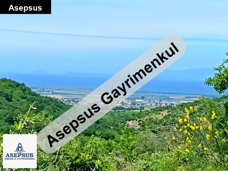 Asepsus Emlak'tan 3+1 i̇lyasalan köyü 'sinde satılık arsa