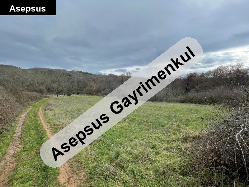 müstaki̇l tapu yerleşi̇mi̇n di̇bi̇ eği̇msi̇z resmi̇ yola cephe