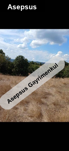 bölgeni̇n en ucuzu balikesi̇r gönen