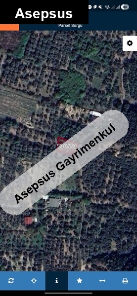 turanköy 360 m2 zeyti̇nli̇k