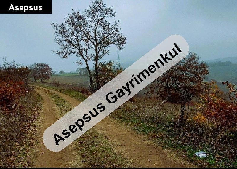 balıkesir merkeze yakın 6 dönüm tarla kadastro yoluna cephe