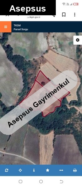 balıkesir sultançayır köyü toplamda 17.700 m2 tarla.