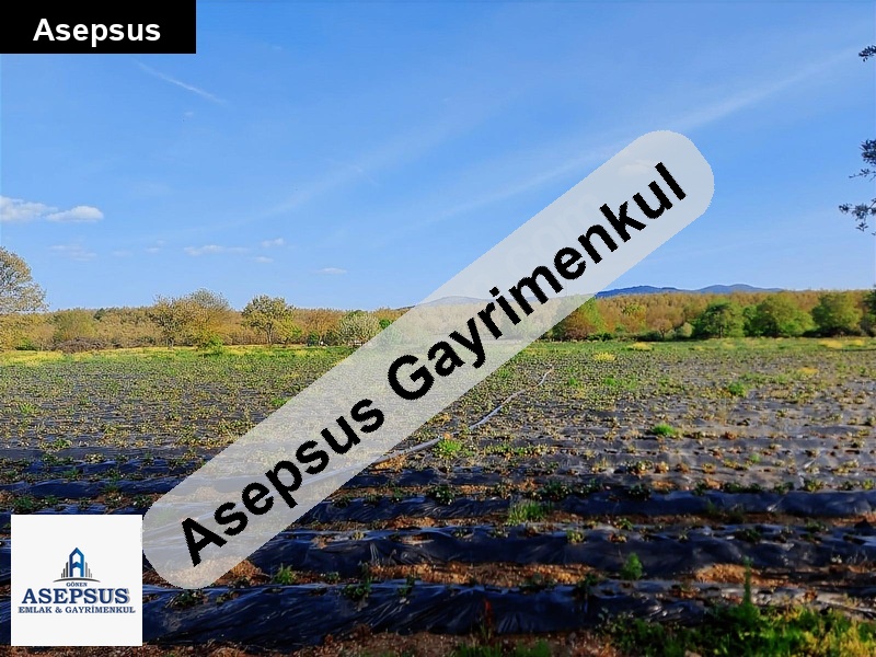 Asepsus Emlak'tan 3+1 akçakoyun köyü 'sinde satılık arsa