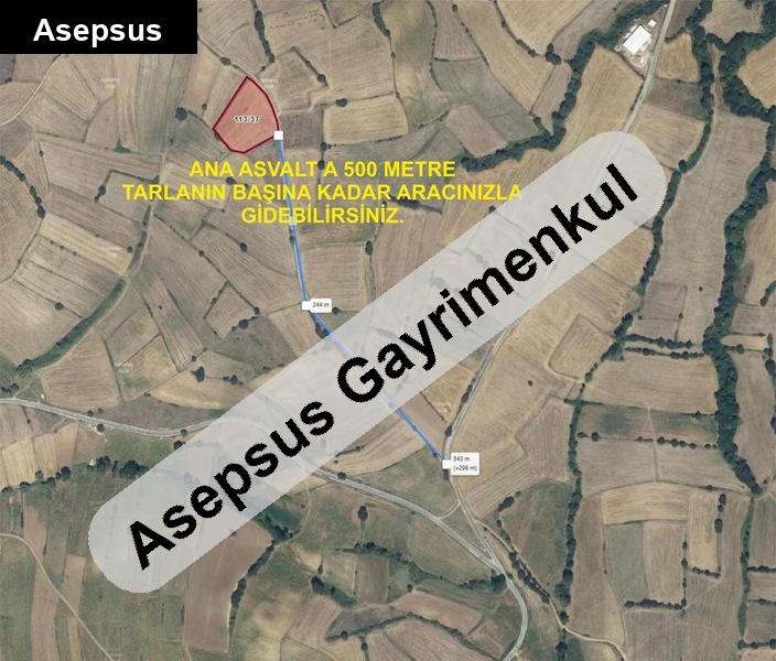 balikkesir kara'si armutalan mahallesi 6 dönüm