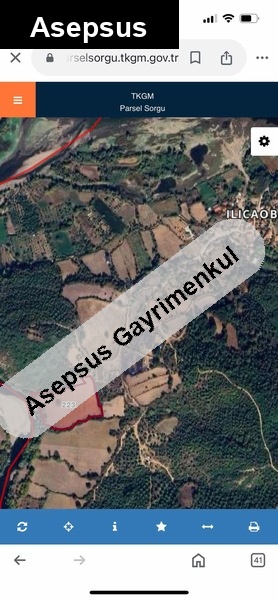 köyün di̇bi̇ düz çayin kenari