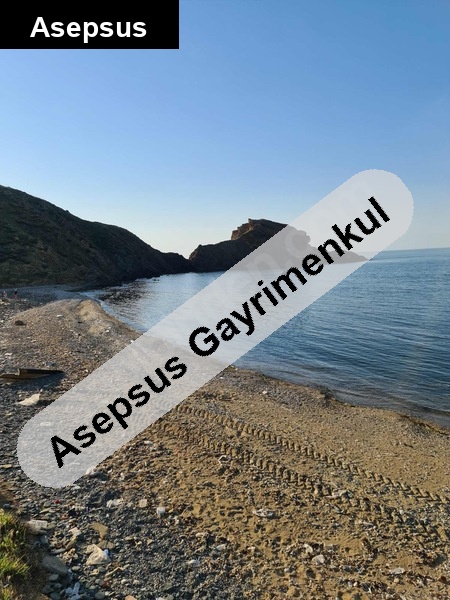 mavi̇ bayrakli elvancik koyu( tiny house yapilabilir)