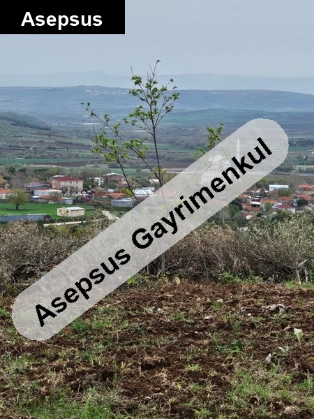 balıkesir bandırma dedeoba köyü 2013 m2 yol kenarı zeytinlik