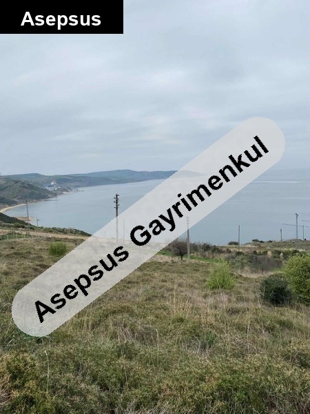 sahi̇bi̇nden satlik full deni̇z manzarali resmi̇ yolu vardir 290 mt