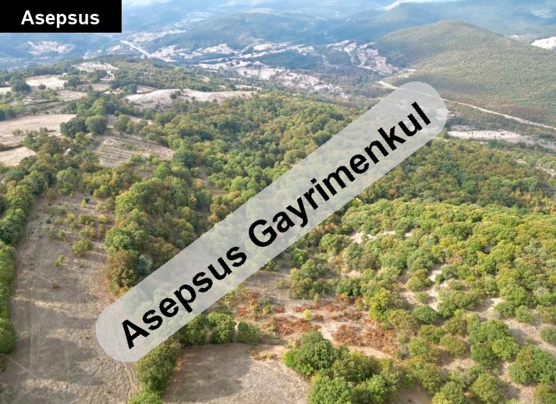 doğa manzarali arsa