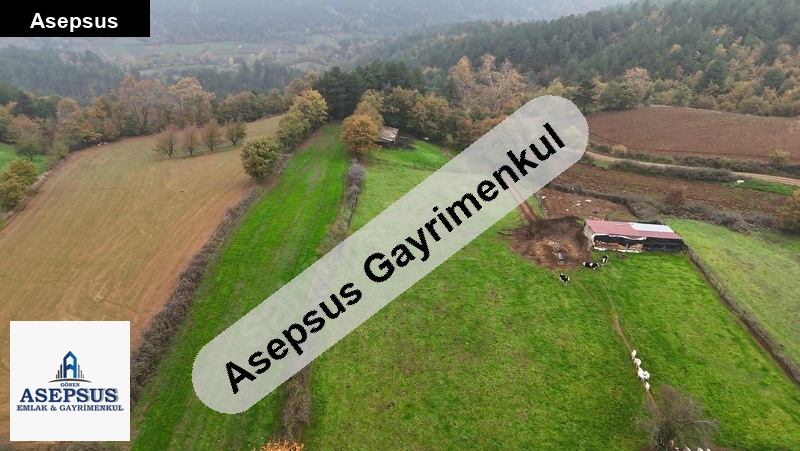 Asepsus Emlak'tan 3+1 sazak köyü 'sinde satılık arsa