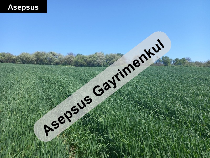 sahibinden ekilir biçilir