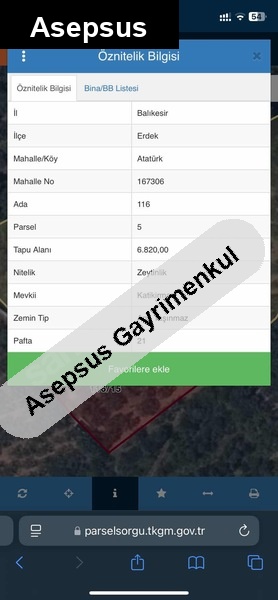 yüksek verimli 6820 m2 satılık zeytinlik