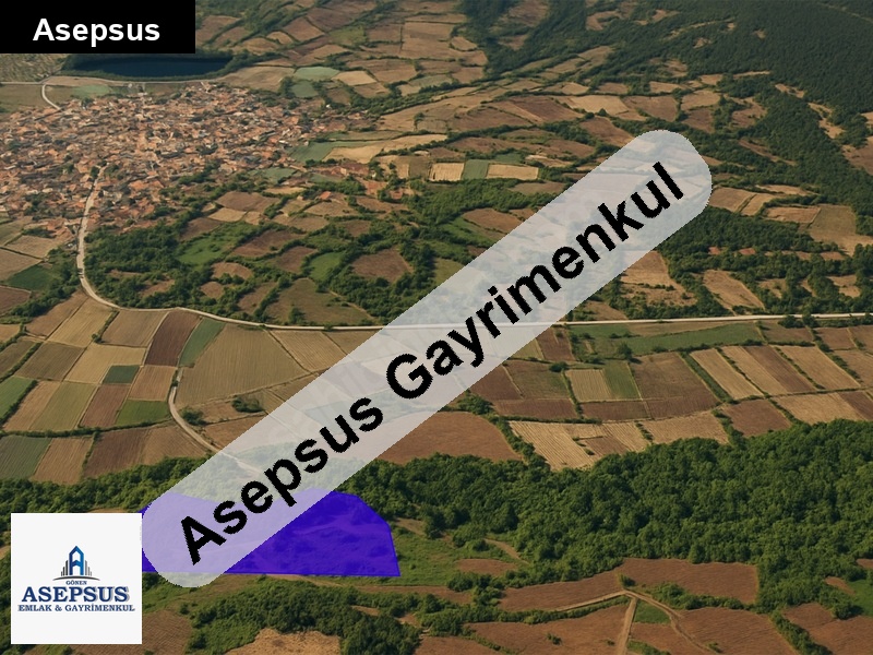 Asepsus Emlak'tan 3+1 örencik köyü 'sinde satılık arsa