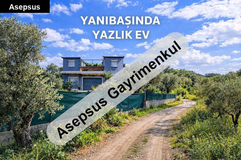 li̇man projesi̇ni̇n yaninda plaja 500 m 3 dönüm zeyti̇nli̇k