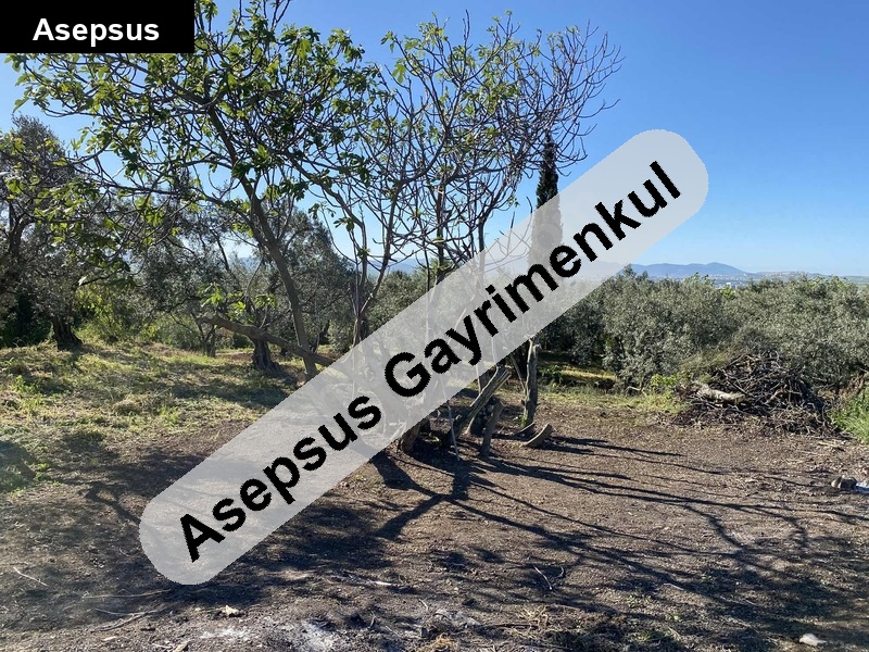 bahçe sahibinden doğrucada müstakil tapulu bağ