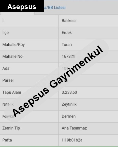 balıkesir erdek turan mahallesinde yatırımlık zeytinlik